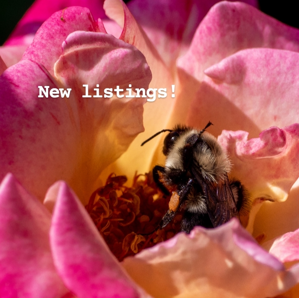 New listings!